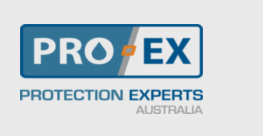 Pro Ex logo